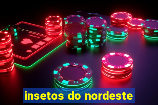 insetos do nordeste